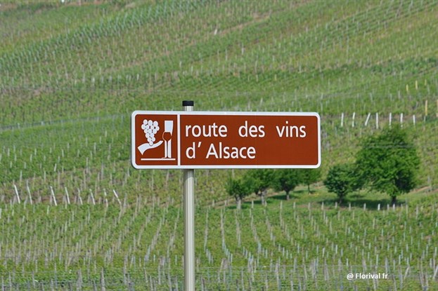 Route Des Vins Dalsace