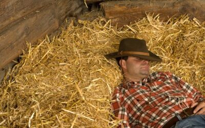 Nature et culture : de l’idée au produit touristique