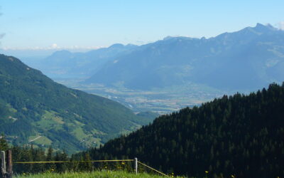 Wetterverhältnisse vom Juli 2015 im Vergleich zum Vorjahr