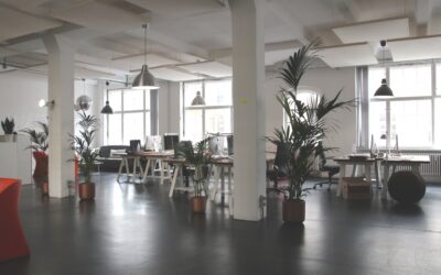 Gründerzentren als neue Arbeitsbereiche