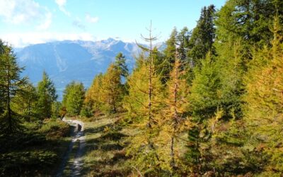 Comparaison de la météo entre octobre 2013 et octobre 2014