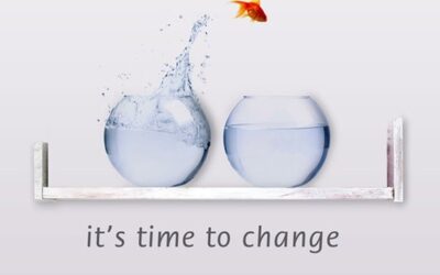 Neue Trends und innovative Umsetzungen 2015: eine Auswahl