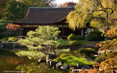 Von Verwirrspielen und Annäherungsversuchen