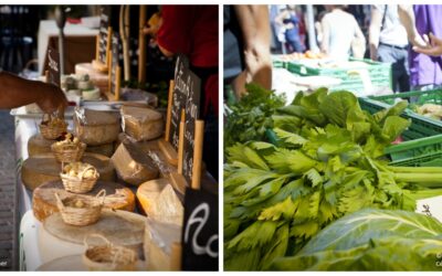 Leben und Tod eines Symbols