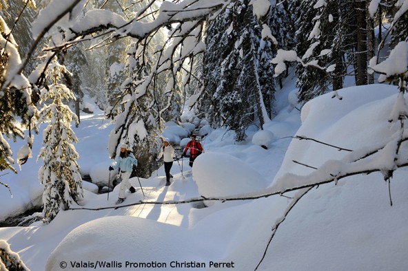 Unsicherheit für Weihnachtszeit und Wintersaison