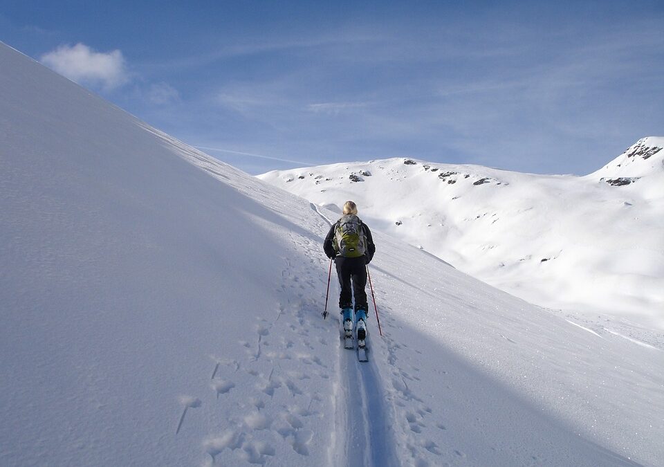 Comportements des pratiquants de ski de randonnée