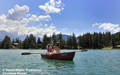 Alpine Destinations & Commercial Strategy