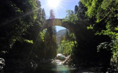 Bedeutung von Naturpärken für den Tourismus – Chancen fürs Wallis?