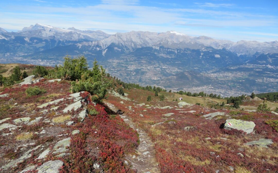 Bilan de la saison estivale 2019