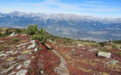 Rückblick auf die Sommersaison 2019
