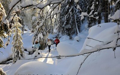 Comparaison de la météo entre février 2013 et février 2014