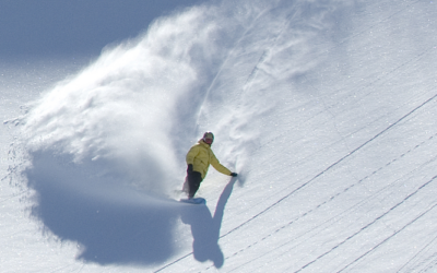Der Skimarkt in Frankreich (nur in Französisch)