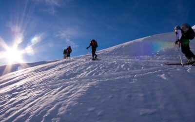 Auferstehung des toten Winkels im Tourismus