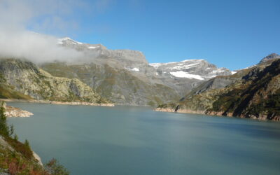 Rückkehr des weissen Goldes im Wallis