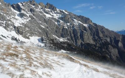 Comparaison de la météo entre janvier 2014 et janvier 2015