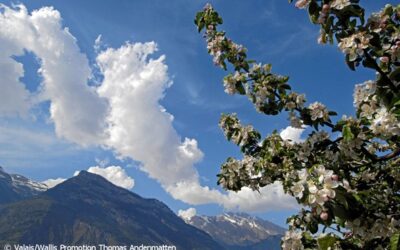 Comparaison de la météo entre mars 2013 et mars 2014