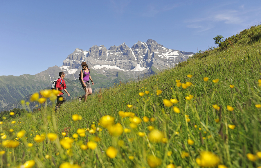 Schweiz – Ökotourismus und Naturtourismus weitgehend unterschätzt und unterbewertet