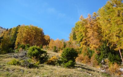 Comparaison de la météo entre novembre 2013 et novembre 2014