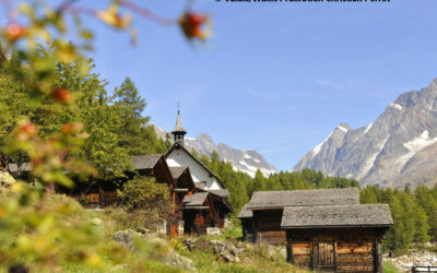 Kommunikationsleistung der Tourismusbüros