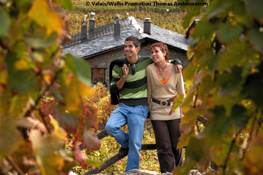 Wird das natürliche Erbe bald virtualisiert?