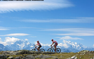 Analyse météo de l’été 2013