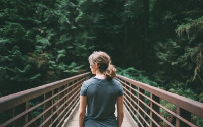 Umfrage über das Verhalten & die Erwartungen von Touristen in Bezug auf Nachhaltigkeit