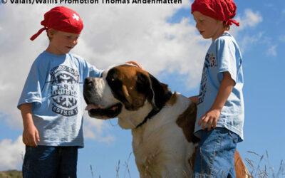 Reisebüros, die auf Ungewohntes setzen