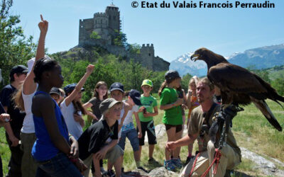 Schweizer Tourismus im internationalen Vergleich