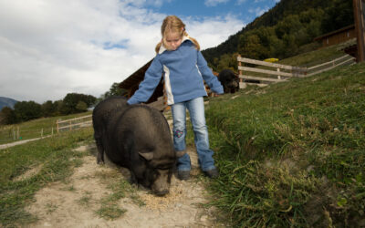 L&rsquo;agritourisme en Suisse