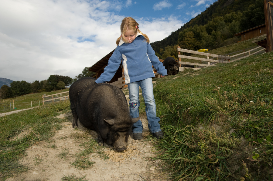 L’agritourisme en Suisse
