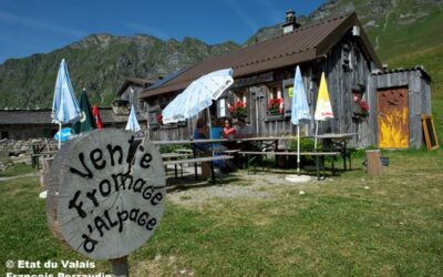 Alpine Destinations & Commercial Strategy