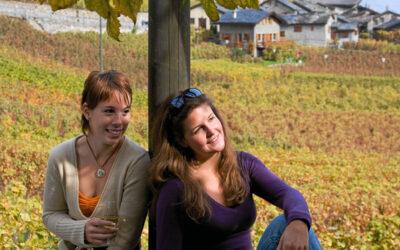 Das Potenzial der technologischen und menschlichen Handicaps für den Tourismusmarkt