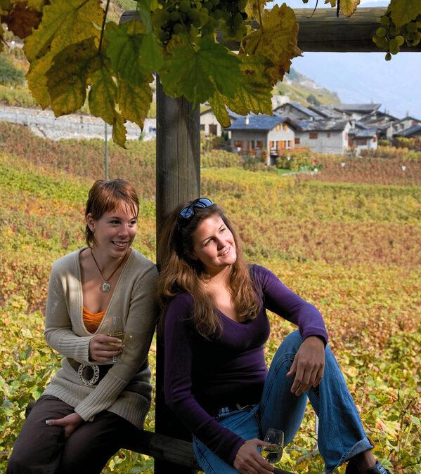 Das Potenzial der technologischen und menschlichen Handicaps für den Tourismusmarkt