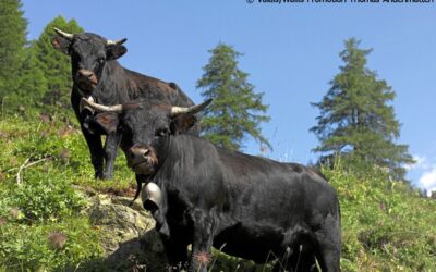 Tourismusakteure im steten Wandel von Innovationen und Generationen