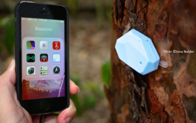 Beacons: das kleine Plus des Kundenservice?