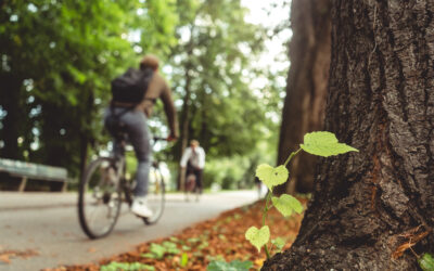 Nouvelles voies pour un tourisme durable : exemples pratiques de la Suisse