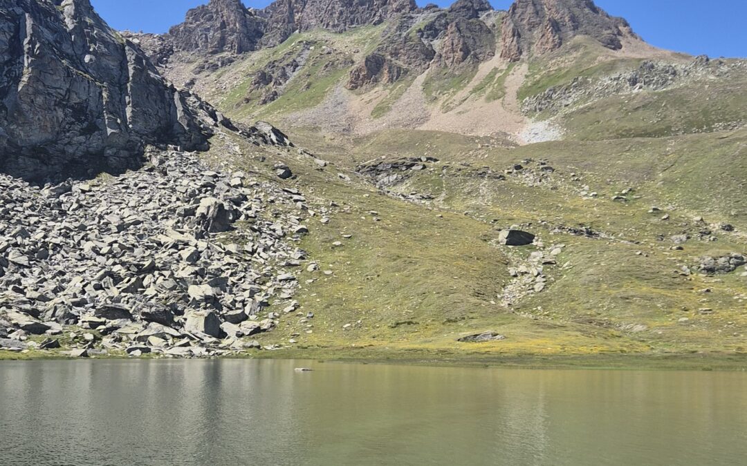 Bilan de l’été 2025 : la meilleure saison des 20 dernières années